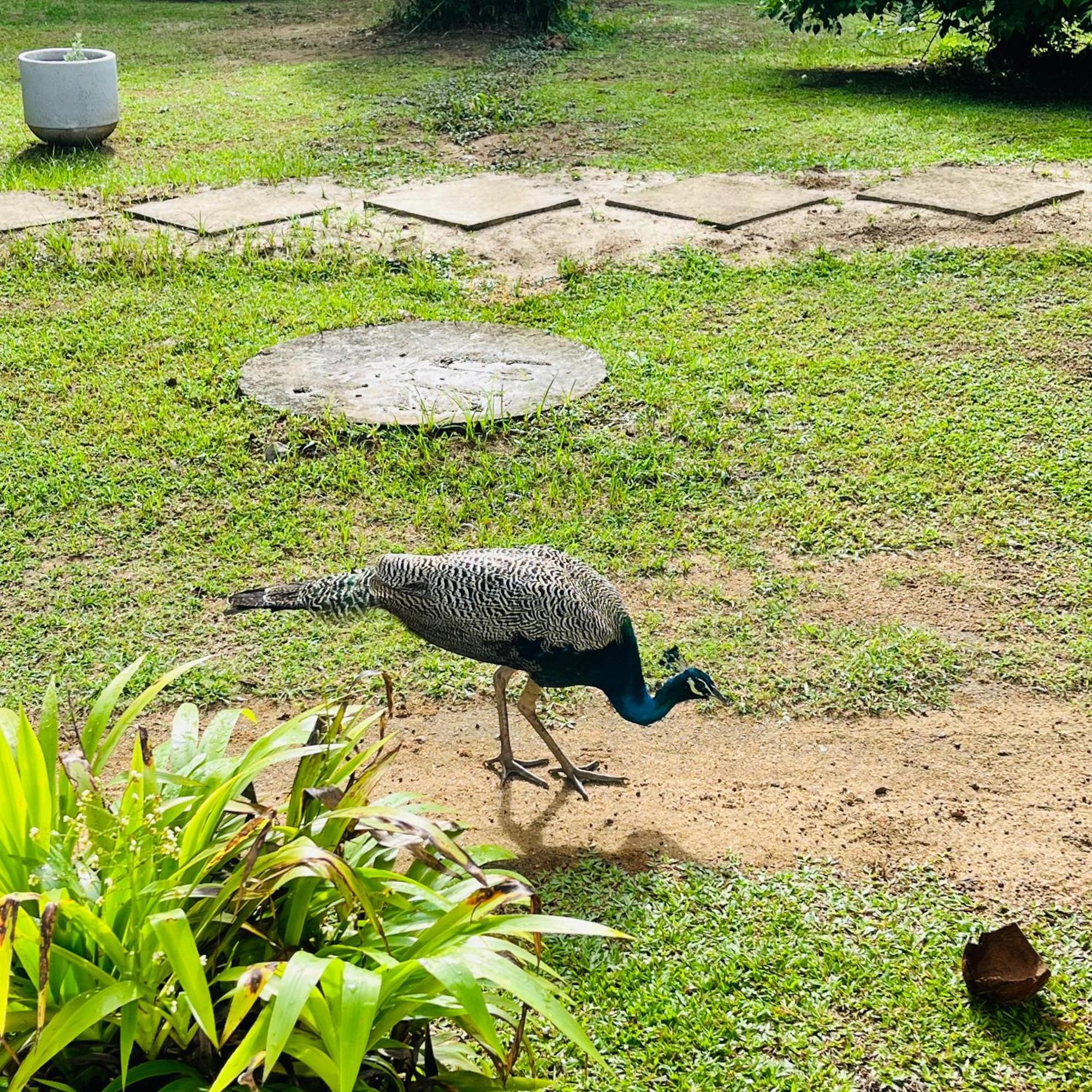 Hanguk Lanka Lagoon Villa Tangalle Bagian luar foto