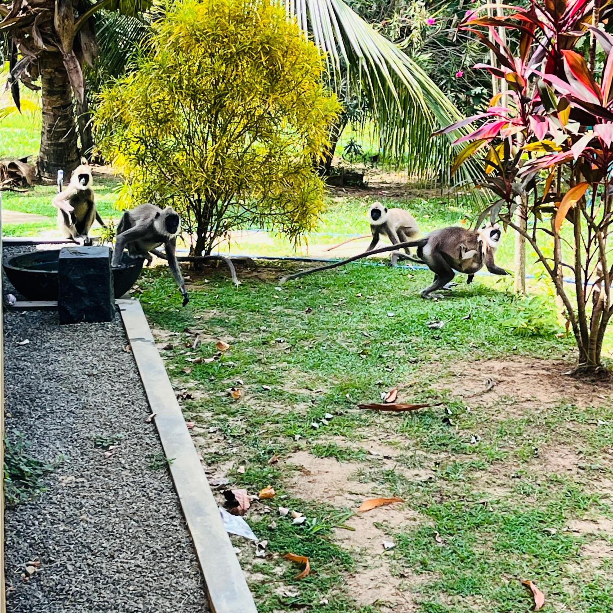 Hanguk Lanka Lagoon Villa Tangalle Bagian luar foto